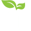 Gallery Asset 1