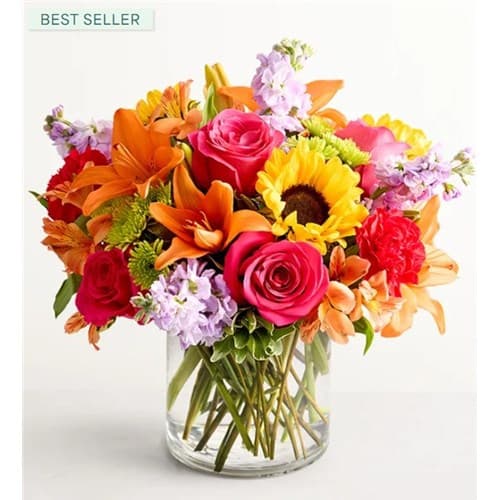 Gallery Asset 5