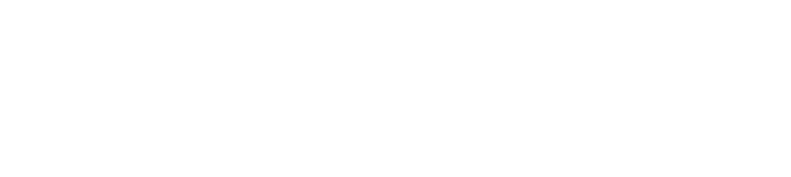 Gallery Asset 1