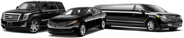 Fabulous Transportation - Limo Party Bus Rental Las Vegas
