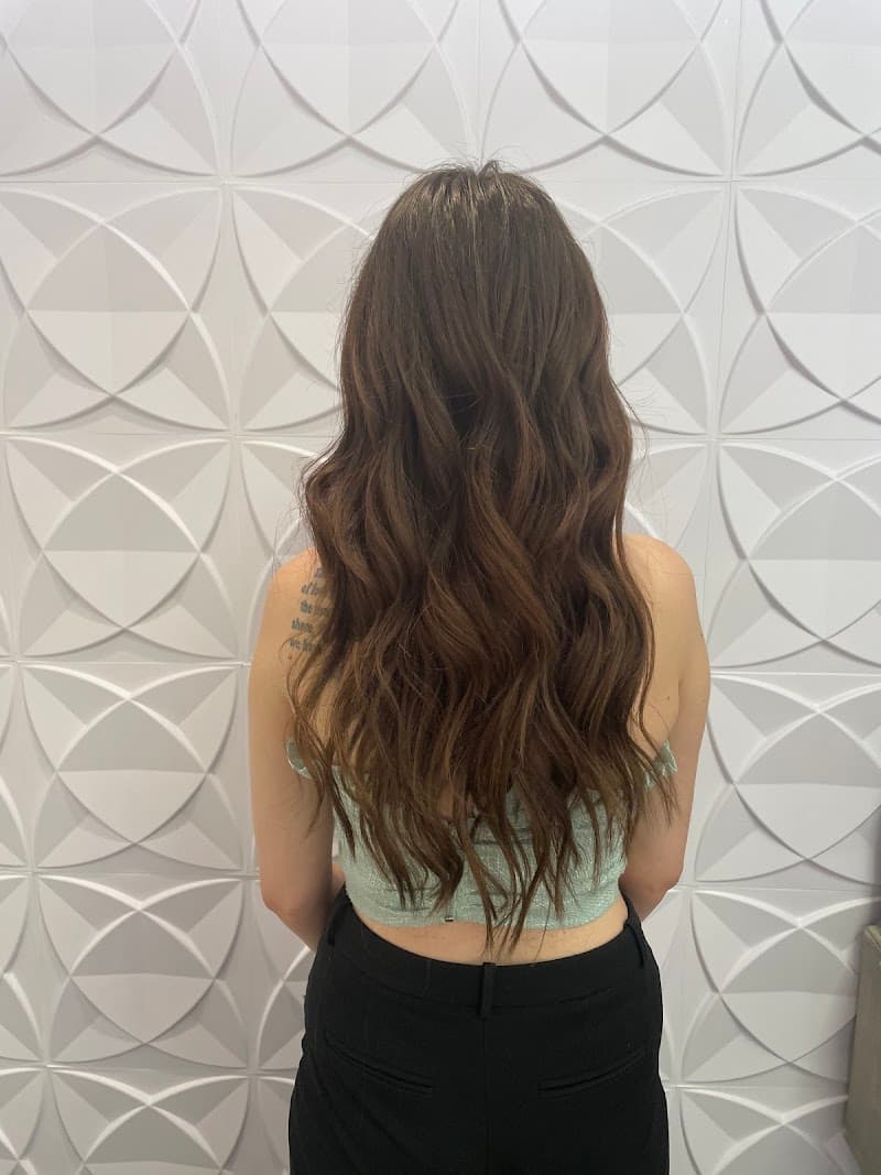 The Hair Extensions Master- Westlake Village