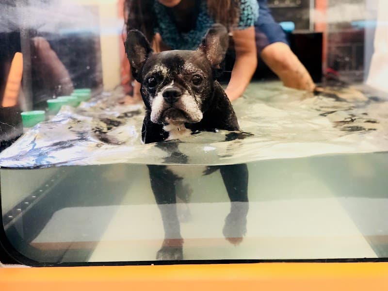 Calabasas Animal Clinic & Holistic Veterinary Center