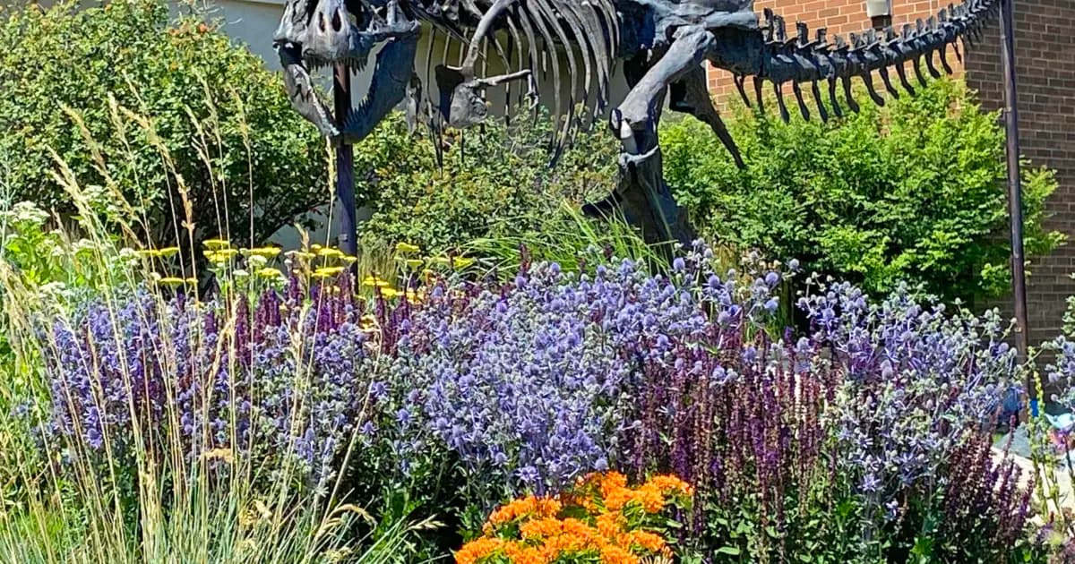 Museum of the Rockies