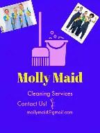 Molly Maid Ventura Top Rated Maid Service